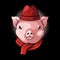 Pig head wear beanie and scarf vector illustration