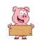 Pig holding a plank of wood