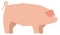 Pig icon. Pink farm animal in polygonal style