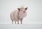 Pig with a king crown on studio background . Political corruption and fake news concept