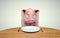 Pig looks at an empty plate. Diet and weight loss concept