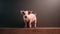 Pig Photography With Japanese Minimalism In 8k Resolution