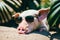 The pig at the pig farm. The Joyful Oinkers. Adventures on the Pig Farm. Generative AI