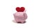 Pig piggy bank and heart on a white background, isolate. Love preservation concept. The photo