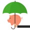 Pig piggy bank under the umbrella. Money under protection, the concept of money security.