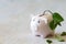 Pig piggy bank with withered plant. Loss of savings, bankruptcy and crisis concept