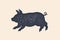 Pig, piggy. Concept design of farm animals