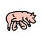 pig piglets farm color icon vector illustration