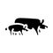 pig piglets farm glyph icon vector illustration