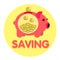 Pig pink bank gold coin