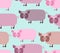 Pig seamless pattern. Background of animals. A herd of pigs Farm