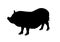 Pig silhouette. Icon outline pork. black pictogram isolated on white background. Symbol farm. Drawing flat graphic piglet. Side fa