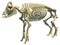 Pig Skeleton anatomical animal 3D rendering on white background