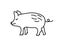 Pig sketch. Chinese horoscope 2031 year. Animal symbol vector illustration. Black line doodle. Editable path
