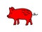 Pig sketch. Chinese horoscope 2031 year. Animal symbol vector illustration. Red doodle sketch