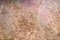 Pig skin background. Texture of skin roasted pig