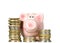 Pig is smiling and standing near money