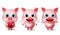 Pig standing characters vector set. Animal pigs character in cute expressions of  hungry, happy and excited with heart, knife.