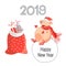 Pig is the symbol of Chinese 2019. Joyful pig looks at the bag with gifts
