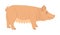 Pig vector isolated on white background. Pork meat. Butcher shop wallpaper or poster. Farm animal symbol pig. Domestic