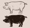 Pig vector logo. farm, pork, piggy icon