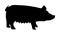Pig vector silhouette illustration isolated on white background. Pork meat. Butcher shop wallpaper or poster. Farm animal symbol