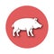 Pig VIsolated Vector icon that can be easily modified or edited