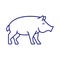 Pig VIsolated Vector icon that can be easily modified or edited