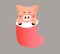 Pig in xmas socks cute cartoon illustration