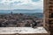 Pigeon against the background of the panorama of Siena