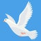 Pigeon animation. Bird motion wings in heaven. Flying migratory pigeon, cartoon vector illustration. Bird dove animation