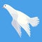 Pigeon animation. Bird motion wings in heaven. Flying migratory pigeon, cartoon vector illustration. Bird dove animation