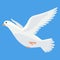 Pigeon animation. Bird motion wings in heaven. Flying migratory pigeon, cartoon vector illustration. Bird dove animation