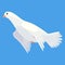 Pigeon animation. Bird motion wings in heaven. Flying migratory pigeon, cartoon vector illustration. Bird dove animation