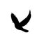 Pigeon black sign icon. Vector illustration eps 10
