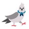 Pigeon in blue scarf. City bird vector illustration.