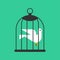 Pigeon in cage. Bird in cage. Concept of unfreedom