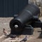 Pigeon in A Canon Barrel