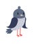 Pigeon cartoon bird icon