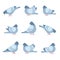 Pigeon cartoon icon set. Clipart image