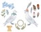 Pigeon clip art digital drawing watercolor bird fly peace dove for wedding celebration illustration similar on white