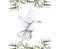 Pigeon clip art watercolor dove bird fly, olive leaves illustration similar on white background