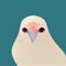 Pigeon closeup. Dove portrait. White dove on blue background flat illustration. Digital illustration. AI-generated