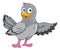Pigeon Cute Cartoon Dove Bird Pointing With Wing