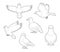 Pigeon Cute Poses Cartoon Vector Coloring Book