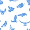 Pigeon or dove, white bird flying with spread wings in sky or sitting seamless pattern.