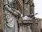 Pigeon Drinking from a Sculpture Fountain