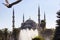 Pigeon flies in blurry motion towards Blue Sultanahmet Mosque