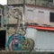 Pigeon and graffiti of king cobra and lion on wall of old abandon building