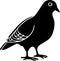 Pigeon Logo Monochrome Design Style